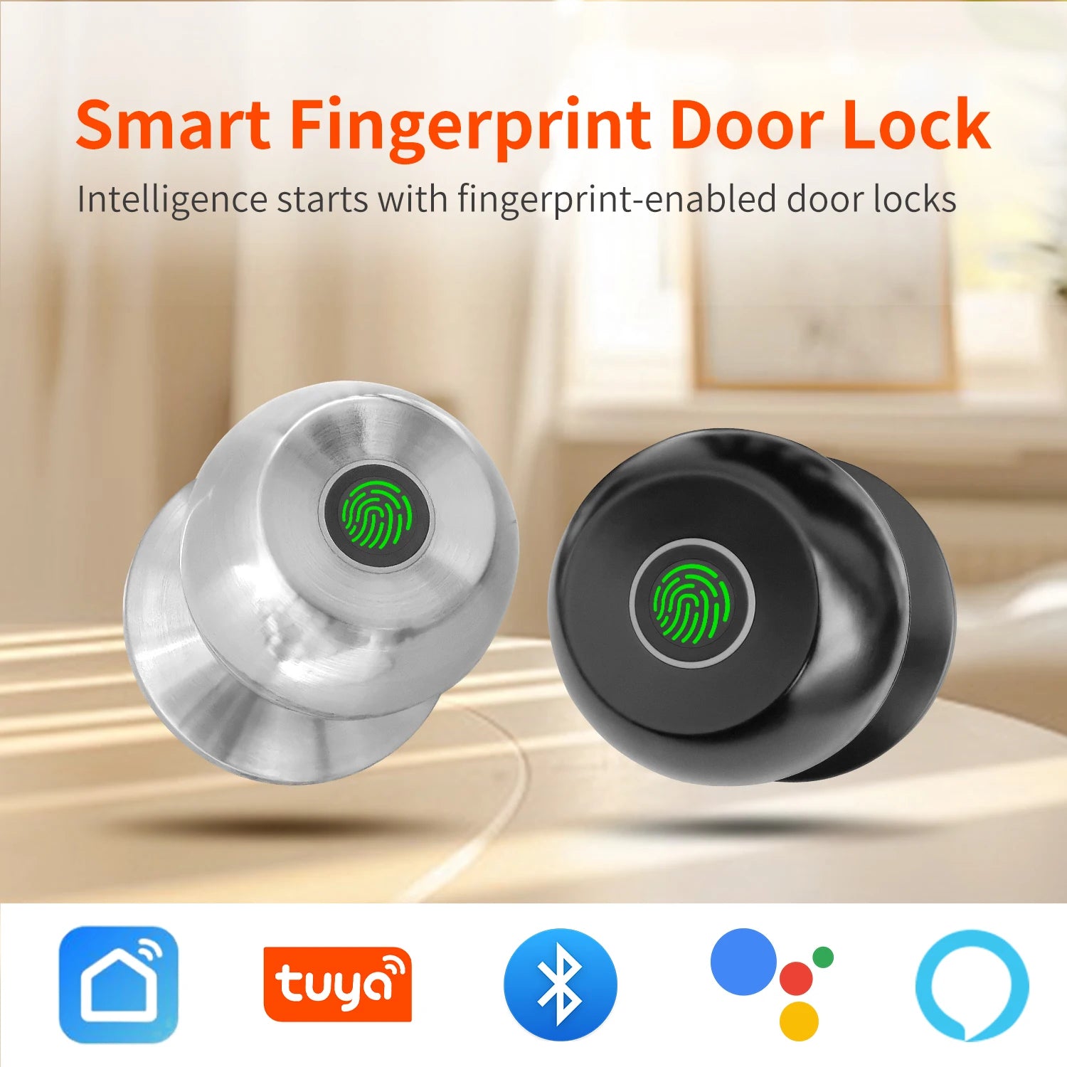 SmartTouch Home Lock